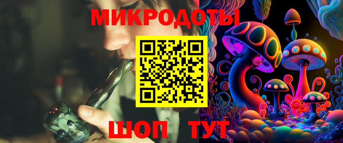 Псилоцибиновые грибы Psilocybe Ростов Великий